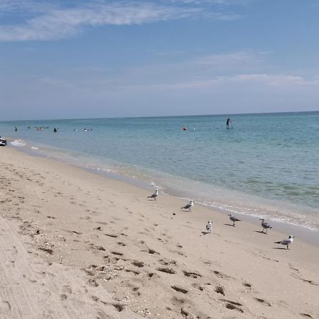 New Luxury Apartment 2Br 2Ba Direct Beach Access 할리우드 외부 사진